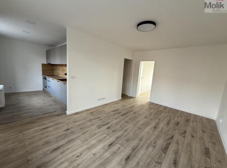 IMG-6786.jpg | Pronájem bytu, 2+1, 54 m²