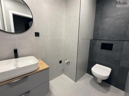 IMG-6789.jpg | Pronájem bytu, 2+1, 54 m²