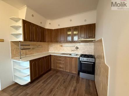 stažený soubor (1).jpg | Pronájem bytu, 3+1, 68 m²