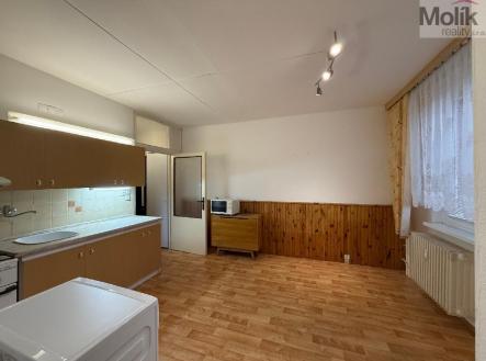 stažený soubor (2).jpg | Prodej bytu, 1+1, 36 m²