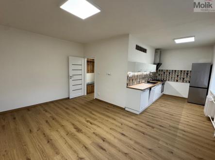 IMG_1272.jpg | Pronájem bytu, 2+1, 53,5 m²