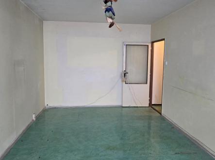 WhatsApp Image 2025-12-18 at 16.18.54 (1).jpeg | Prodej bytu, 2+1, 49 m²