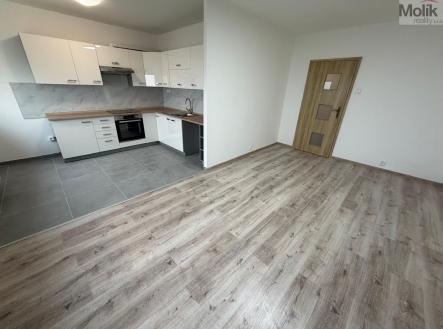 WhatsApp Image 2025-12-22 at 08.01.58.jpeg | Pronájem bytu, 3+1, 65 m²