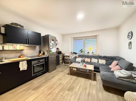 IMG_3364.jpg | Pronájem bytu, 3+kk, 84 m²