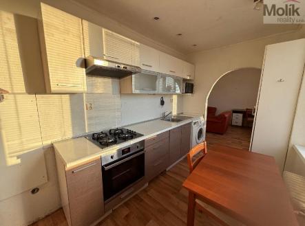 stažený soubor (1).jpg | Pronájem bytu, 2+1, 52 m²