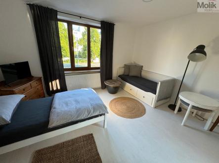 32171f00-a311-4165-8f0c-8b7f5a224b4e.jpg | Pronájem bytu, 1+1, 31 m²