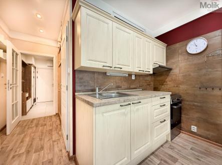 IMG_1150.jpg | Pronájem bytu, 1+kk, 38 m²