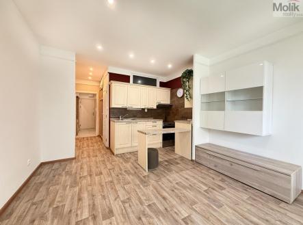 IMG_1148.jpg | Pronájem bytu, 1+kk, 38 m²