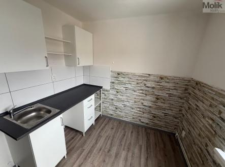 Pronájem bytu, 1+1, 30 m² obrázek