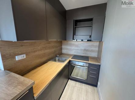 IMG_1419.jpg | Pronájem bytu, 1+kk, 32,3 m²