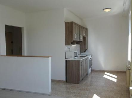 WhatsApp Image 2026-01-09 at 13.30.56.jpg | Pronájem bytu, 2+kk, 54 m²