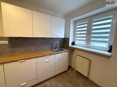 WhatsApp Image 2026-01-15 at 11.27.22 (8).jpeg | Pronájem bytu, 2+1, 58 m²