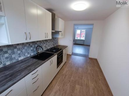 WhatsApp Image 2026-01-15 at 08.21.51 (1).jpg | Pronájem bytu, 2+1, 50 m²