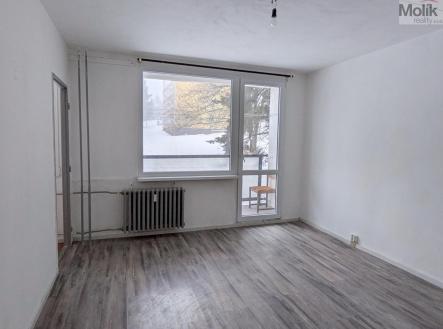 PXL_20260114_141246823.MP.jpg | Pronájem bytu, 1+kk, 28 m²