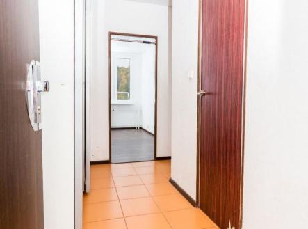 WhatsApp Image 2026-01-20 at 14.10.45 (1).jpeg | Prodej bytu, 2+kk, 40,5 m²