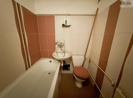 IMG-2575.jpg | Pronájem bytu, 1+1, 27 m²