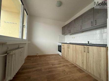 stažený soubor.jpg | Pronájem bytu, 2+1, 48 m²