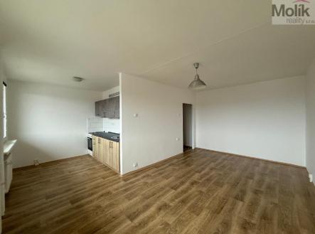 stažený soubor (3).jpg | Pronájem bytu, 2+1, 48 m²