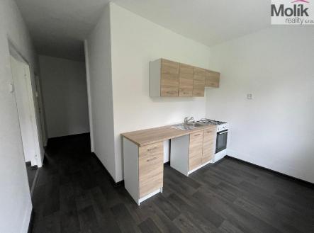 1732871225_nFNWZlM8TR.jpg | Pronájem bytu, 2+1, 55 m²