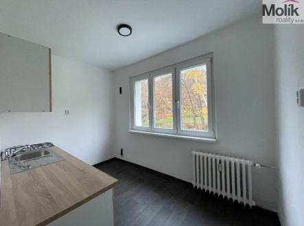 1732871223_xkyhZVjctW.jpg | Pronájem bytu, 2+1, 55 m²
