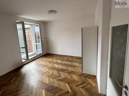 IMG-2760.jpg | Pronájem bytu, 1+1, 36 m²