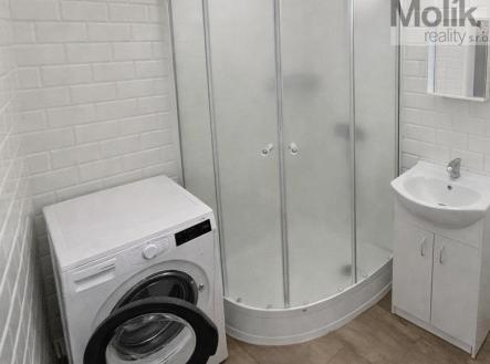 0A57546F-738B-43A1-9155-16E0397ACB56.jpg | Pronájem bytu, 1+1, 36 m²