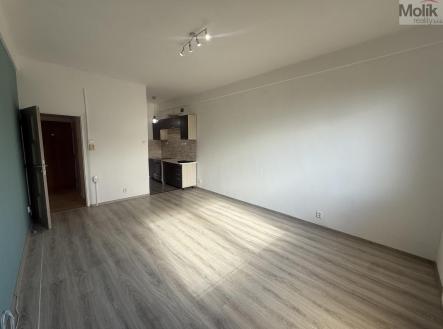 IMG-9574.jpg | Pronájem bytu, 2+kk, 49 m²