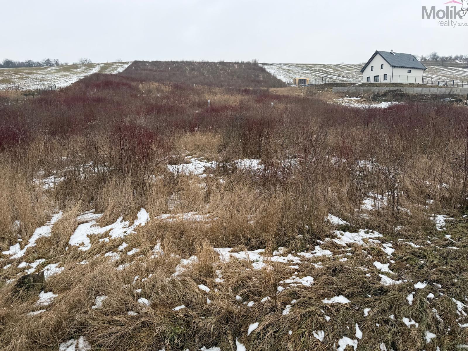 WhatsApp Image 2026-01-28 at 10.40.23 (1).jpeg