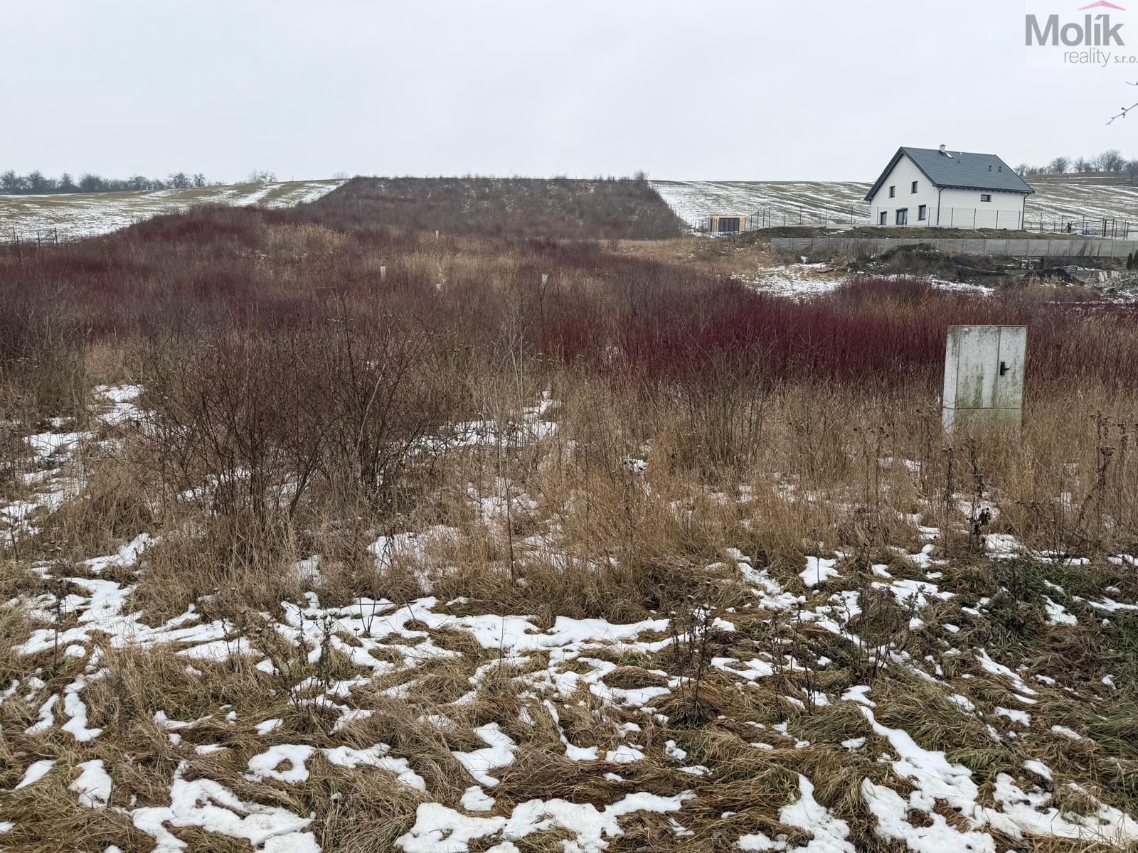 WhatsApp Image 2026-01-28 at 10.40.23.jpeg