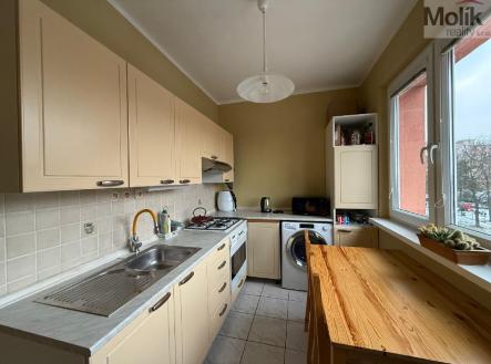 stažený soubor (15).jpg | Pronájem bytu, 2+1, 54 m²