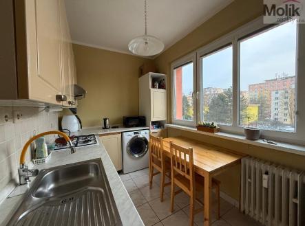 stažený soubor (2).jpg | Pronájem bytu, 2+1, 54 m²