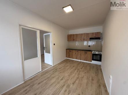 stažený soubor (1).jpg | Pronájem bytu, 3+1, 68 m²