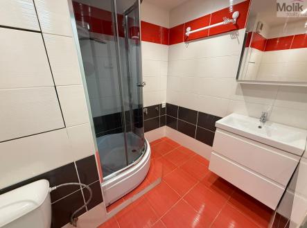 IMG_3731.jpg | Pronájem bytu, 2+1, 49 m²