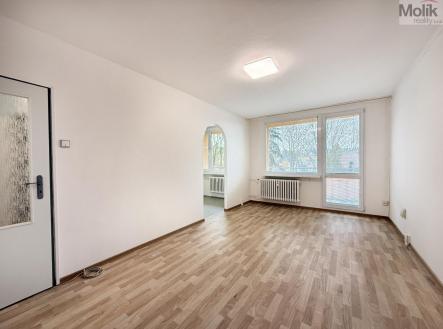 IMG_3727.jpg | Pronájem bytu, 2+1, 49 m²