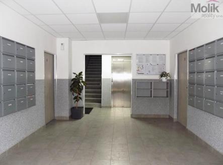 DSCN8526a.jpg | Prodej bytu, 3+1, 74 m²