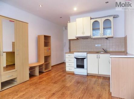 DSCN8489a.jpg | Prodej bytu, 1+kk, 21 m²