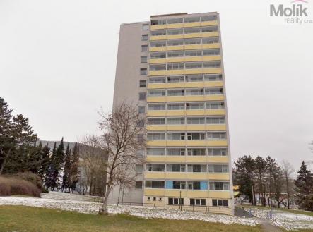 DSCN8518a.jpg | Prodej bytu, 1+kk, 21 m²