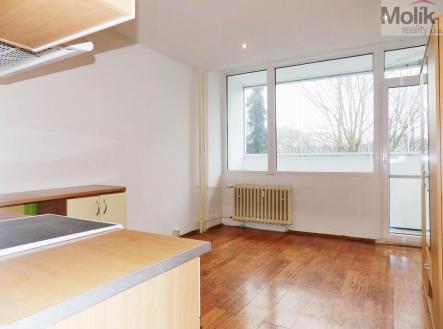 DSCN8488aa.jpg | Prodej bytu, 1+kk, 21 m²