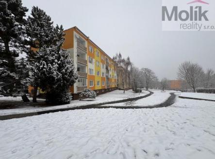 IMG_0598.jpeg | Prodej bytu, 1+1, 36 m²