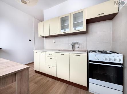 IMG_3759.jpg | Pronájem bytu, 2+1, 52 m²