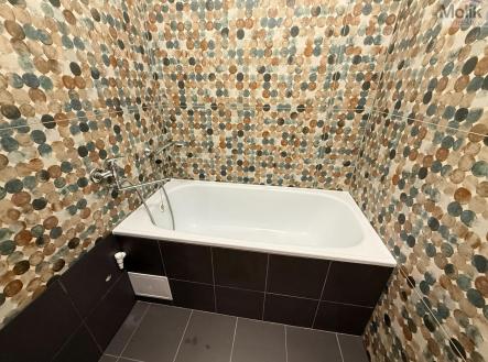 IMG_3765.jpg | Pronájem bytu, 2+1, 52 m²