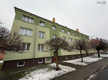 Prodej bytu, 2+1, 51 m² obrázek
