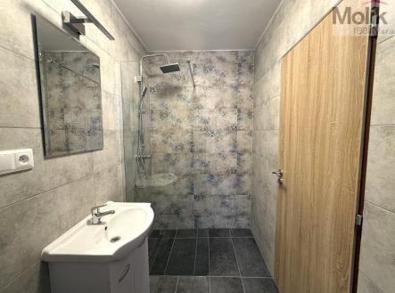 staen soubor (6).jpeg | Pronájem bytu, 3+1, 56 m²