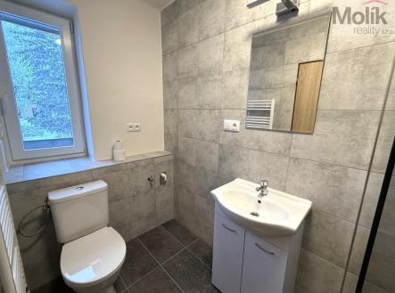 staen soubor (10).jpeg | Pronájem bytu, 3+1, 56 m²