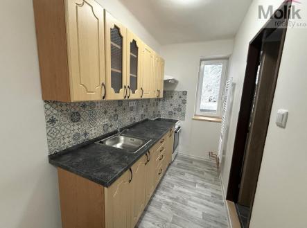 staen soubor (11).jpeg | Pronájem bytu, 3+1, 56 m²