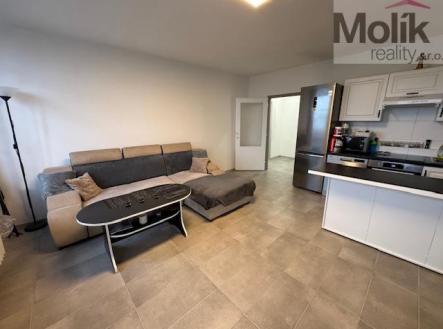 IMG_0873.jpeg | Prodej bytu, 2+kk, 47 m²