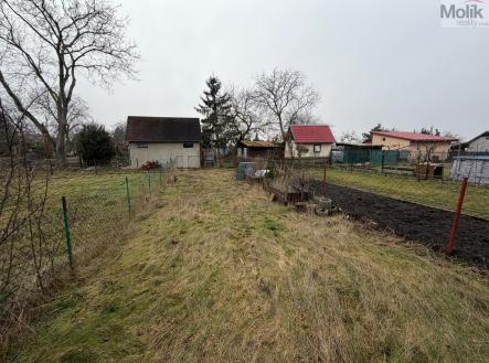 WhatsApp Image 2026-02-11 at 10.56.54 (2).jpeg | Prodej - pozemek, zahrada, 170 m²