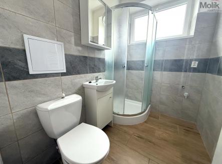 WhatsApp Image 2026-02-12 at 12.28.39.jpeg | Pronájem bytu, 1+kk, 20 m²