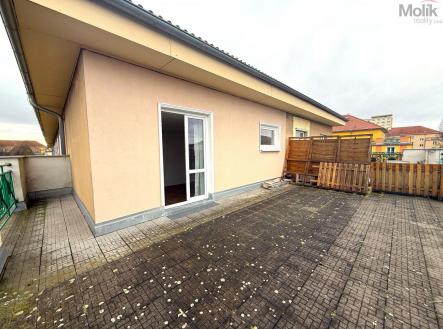 WhatsApp Image 2026-02-12 at 12.28.41 (5).jpeg | Pronájem bytu, 1+kk, 20 m²