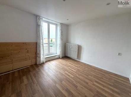 WhatsApp Image 2026-02-12 at 12.28.41 (1).jpeg | Pronájem bytu, 1+kk, 20 m²